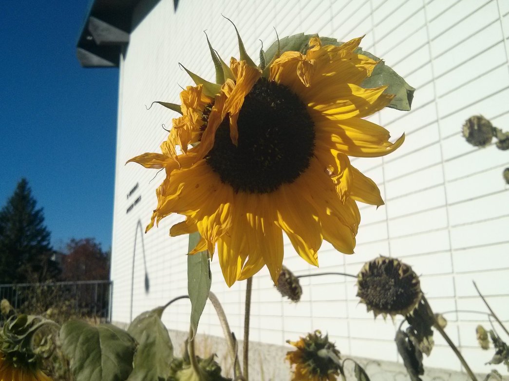 Slideshow image